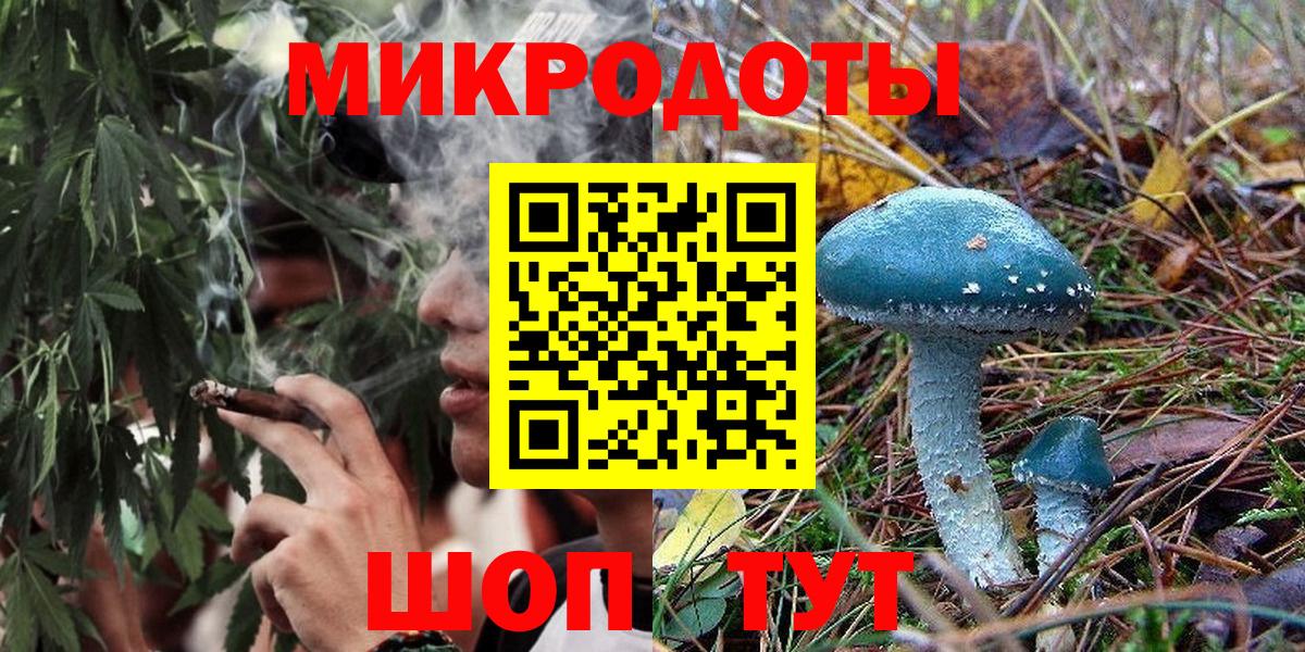 Псилоцибиновые грибы Psilocybine cubensis  Вход с VPN  Россошь 